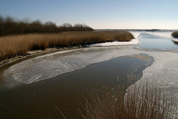 JPS_IMG_7284_KatingerWatt