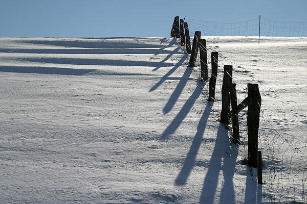 JPS_IMG_7316_Zaunschatten